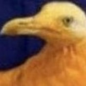 Profile Picture of Sprung (@sprung2191) on Youtube