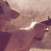 Profile Picture of Jimmy Maxwell (@jimmy-maxwell-30) on Quora