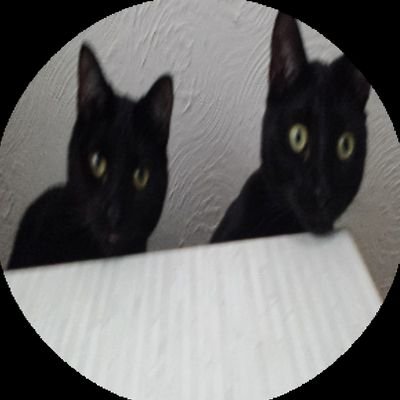 Richard Mahony - Twitter Profile Picture of Richard Mahony (@richardm64) on Twitter