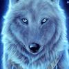 Profile Picture of Jacob Franco (@@jacobfranco33) on Tiktok
