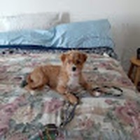 Profile Picture of Dawn Marando (@dawn-marando-1) on Quora