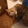 Profile Picture of Kin Tang (@@30360733041) on Tiktok