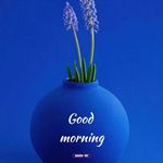 Profile Picture of sudha Radhakrishnan (@sudharadhakrishnan7) on Instagram