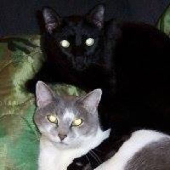 Profile Picture of Tamara Bannister (@tammybannister) on Poshmark