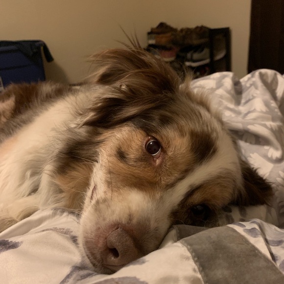 Profile Picture of Jacey Pogue (@jaceypogue) on Poshmark