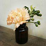Profile Picture of Jane Liao (@reader_jane_) on Instagram