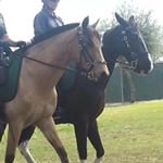 Profile Picture of katelynn crosby (@kcrosby18) on Instagram