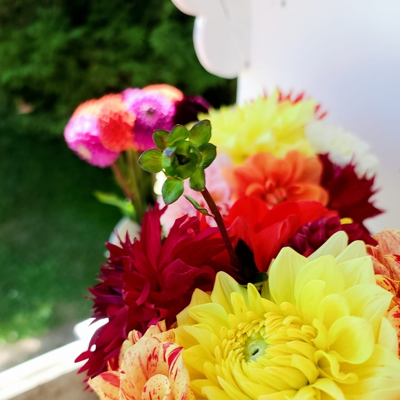 Profile Picture of Emilie Skawski (@emiliekernohan) on Poshmark