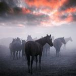 Profile Picture of Tara Kendall (@tara__kendall) on Instagram