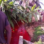 Profile Picture of Joe Malik (@joemalik81) on Instagram