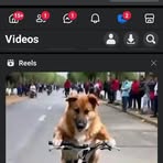 Profile Picture of David Ment (@David-Ment-61561495065364) on Facebook