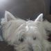 Profile Picture of Russell Knepp (@russell.knepp.14) on Facebook