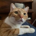 Profile Picture of Charles B King (@sea.bee.pork) on Instagram