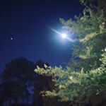 Profile Picture of Brittany Jameson (@brittjameson) on Instagram