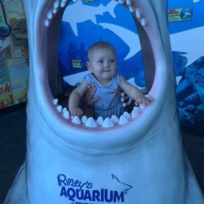 Profile Picture of Brad Wargo (@WargoBrad) on Twitter