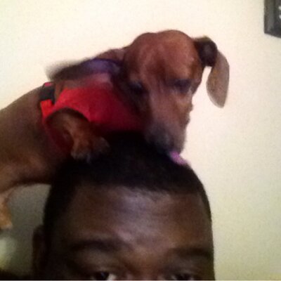 Profile Picture of RALPH MILLER (@BIGTYMR2000) on Twitter