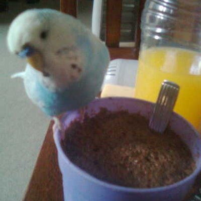 Profile Picture of Melanie Davey (@davey_melanie) on Twitter