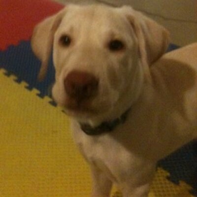 Profile Picture of Brett Jeffries (@jettbeffries) on Twitter