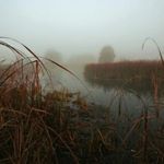 Zachary Crites - Instagram Profile Picture of Zachary Crites (@56tank) on Instagram