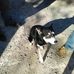 Profile Picture of Ronald Suttles (@ronald.suttles.79) on Facebook