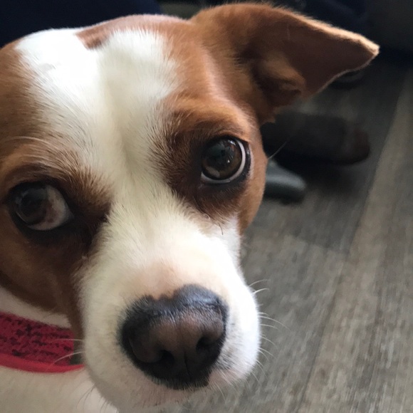 Profile Picture of David Bloch (@sacarii) on Poshmark