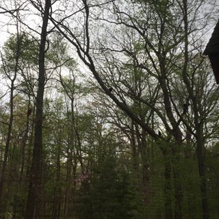 Profile Picture of Greg Hulbert (@Greg-Hulbert) on Facebook