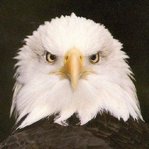 Profile Picture of Tamara Walchle (@190630446) on Myspace