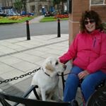 June Gray - Instagram Profile Picture of June Gray (@june.gray.9081) on Instagram