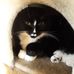 Profile Picture of Sheri Cooley (@sheri.cooley.92317) on Facebook
