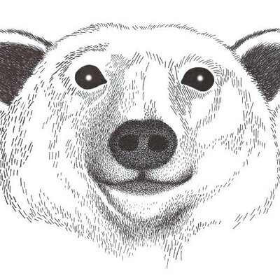 Profile Picture of Robert Bair Services (@RobertBairPlumb) on Twitter