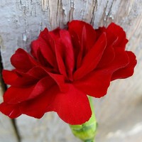 Profile Picture of Preeti Jain (@preeti-jain-21) on Quora