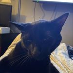 Profile Picture of Adam mitchell (@adam._.mitchell) on Instagram