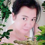 Profile Picture of Nancy Salcedo (@salcedo9670) on Instagram