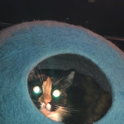 Profile Picture of John Nystrom (@JohnNystrom16) on Twitter