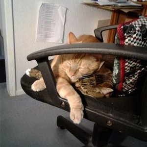 Profile Picture of Anne Mahnke (@annieokley23) on Twitter