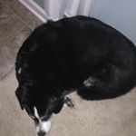 Profile Picture of Nathan Wolf (@nathan_wolf14) on Instagram