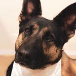 Profile Picture of Julia Angelotti (@juliaangelotti) on Instagram