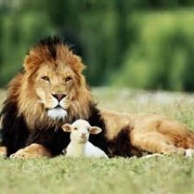 Profile Picture of Kenny L. Lamb (@Kennylamb72) on Twitter
