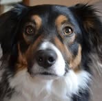 Steven Birney - Facebook Profile Picture of Steven Birney (@superstevo02) on Facebook