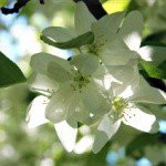 Profile Picture of Aldock (@aldockfrazier74) on Instagram