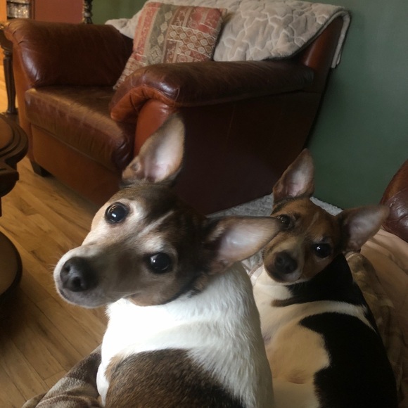 Profile Picture of Thomas Odonnell (@thomasodonnell) on Poshmark