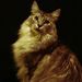 Profile Picture of Peter Aragon (@aragon2336) on Pinterest