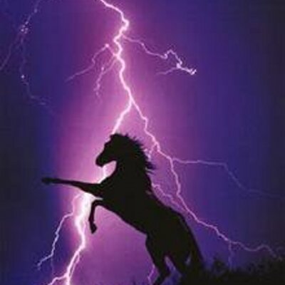 Profile Picture of Nancy Gass (@Aug388) on Twitter