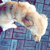 Profile Picture of Arnold Leo (@arnoldleo1196) on Youtube