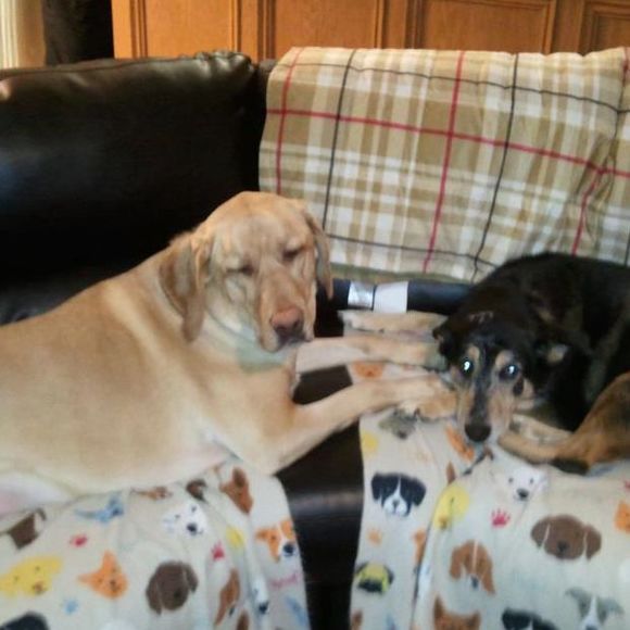 Profile Picture of Jodi Knodell (@jodiknodell) on Poshmark