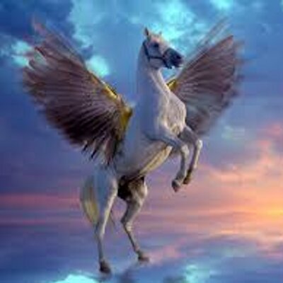 Profile Picture of Grace Blevins (@graceblevins18) on Twitter