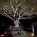 Profile Picture of Kevin Yap (@kevin.yap.182) on Facebook