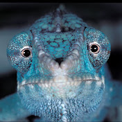 Profile Picture of Erik Steenberg (@eriksteenberg4781) on Youtube