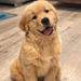 Profile Picture of BAILEY MCGEEN (@baileymcgeen) on Pinterest