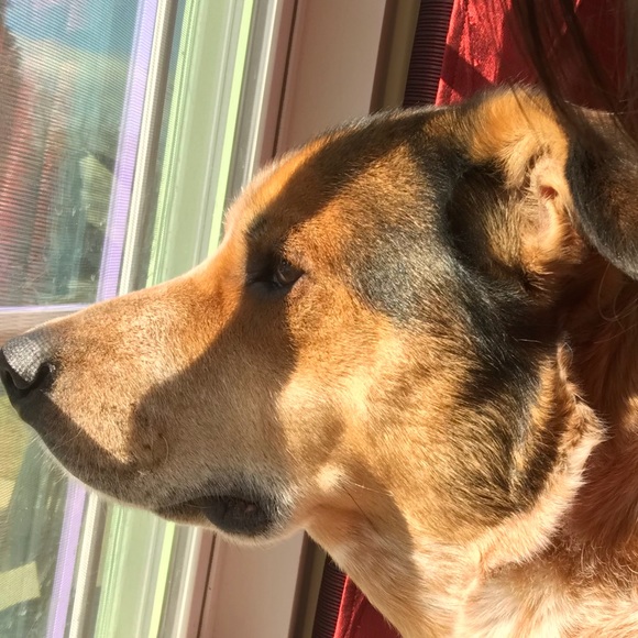 Profile Picture of Kuralay Assilkhan (@kuralayka) on Poshmark